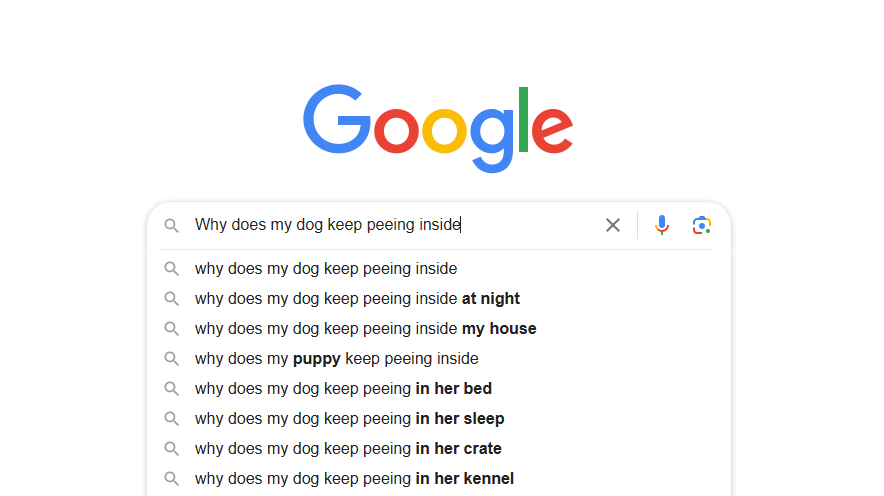 Google search for freelance blog copywriters why my dog keeps peeing inside example