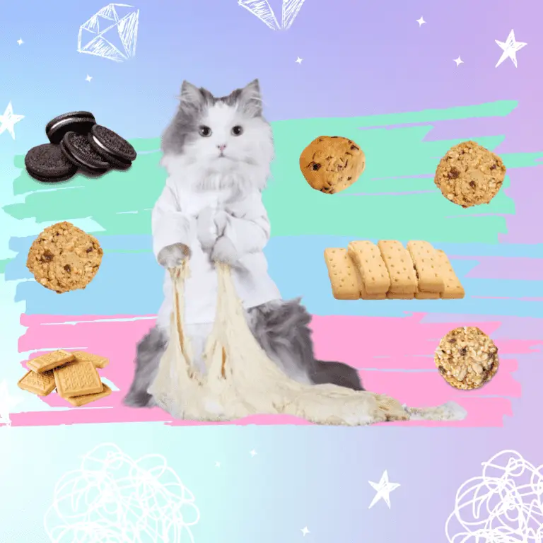 Cat making biscuits featured in an article about why cats knead