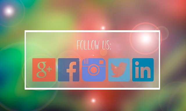 Social media channels available to follow businesses on