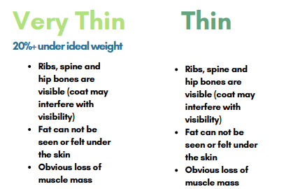 Chart detailing criteria for a thin and very thin cat