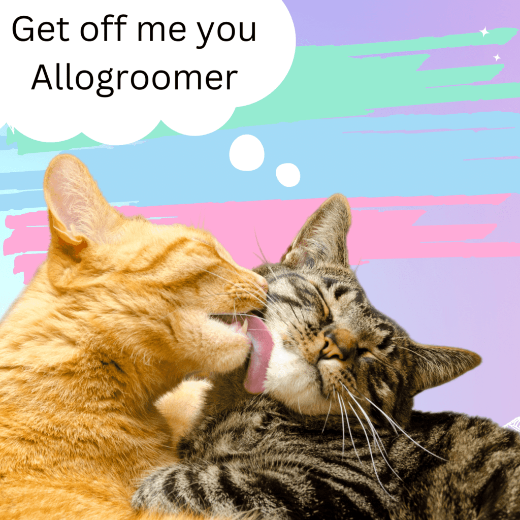 Ginger cat licking a tabby cat with a thought bubble that says 'Get off me your allogroomer'