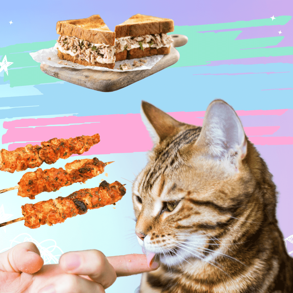 Cat licking a person's hand with a tuna sandwich and chicken kebab next to the cat
