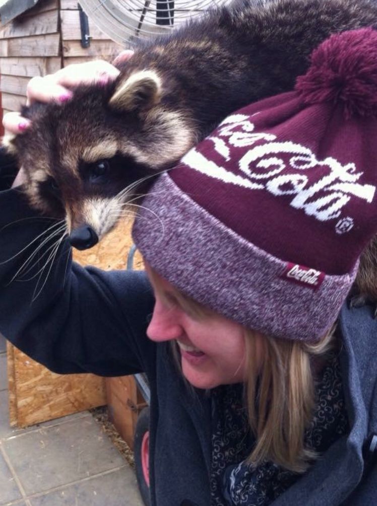 Pixie Greatorex, freelance pet blog writer with a raccoon on her shoulder