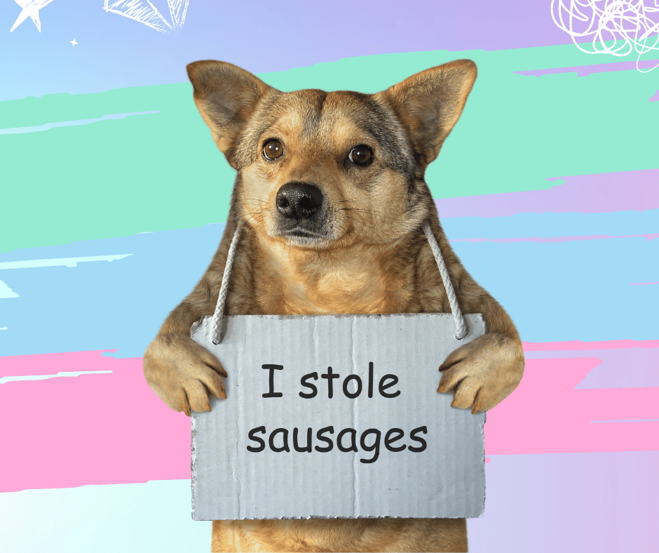 Small dog holding a sign saying 'I stole sausages'