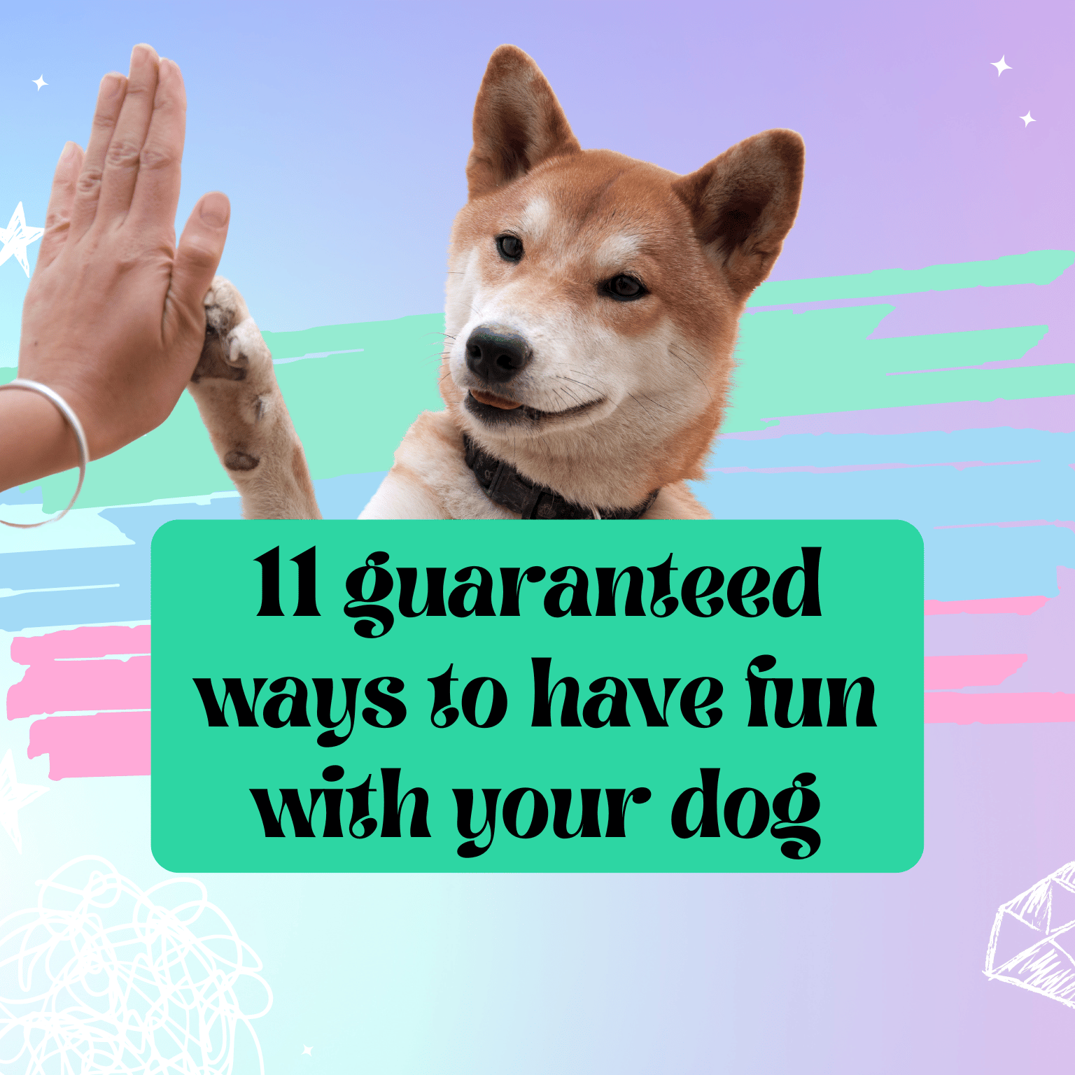 Dog holding his paw up against a human hand on a blog post picture about ways to have fun with your dog